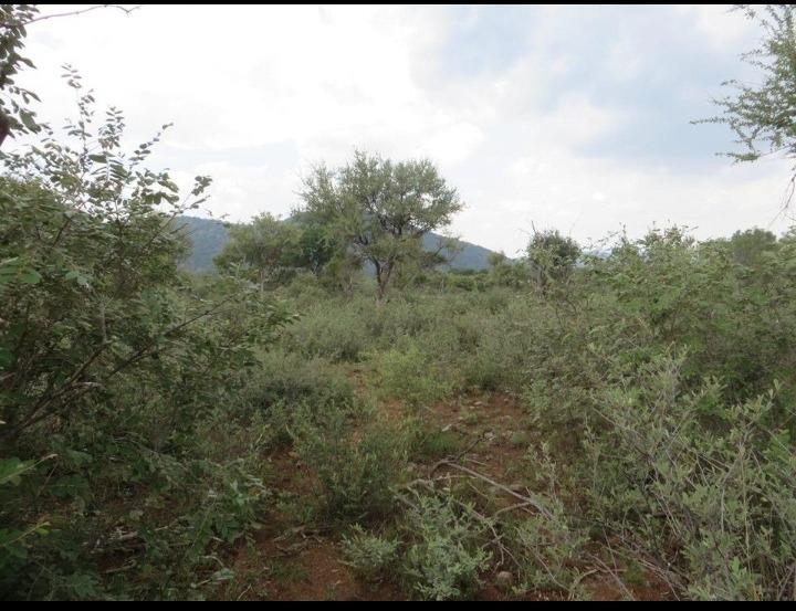 Commercial Property for Sale in Brits North West
